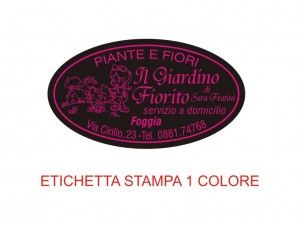Etichette in carta fluorescente e colorata (mm 44X25)  (cod.10Q) 